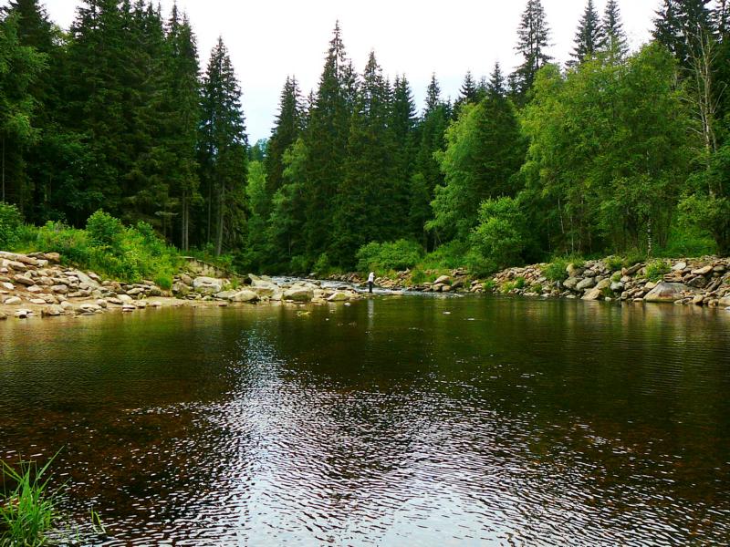 drei_-_laendertour_juli_2011_068.jpg