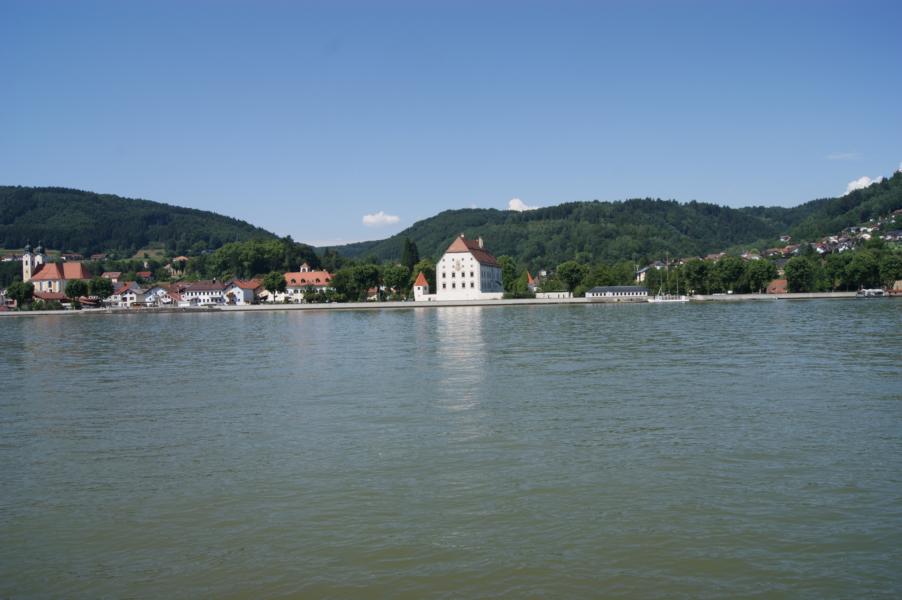 dsc00764.jpg
