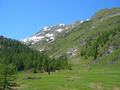 oberital_seen_2009_222.jpg