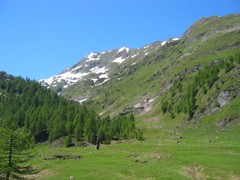 oberital_seen_2009_222.jpg