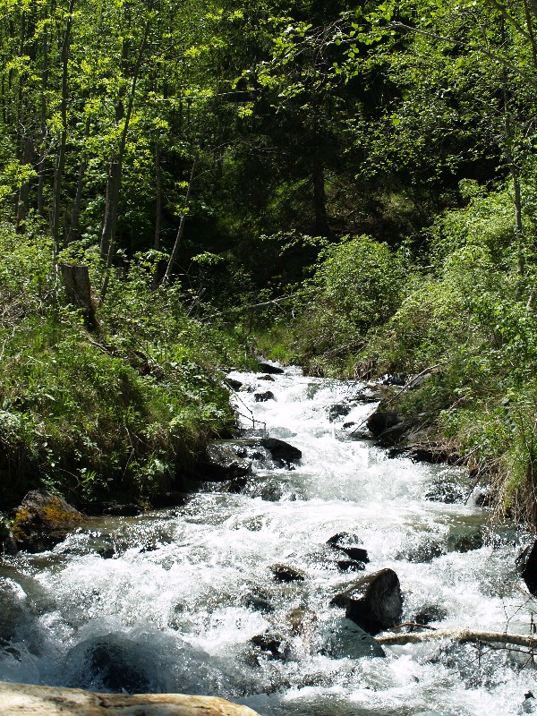 oesterreich_2010_133.jpg