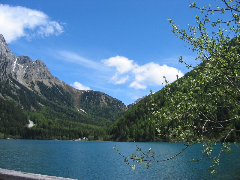 oesterreich_2010_232.jpg