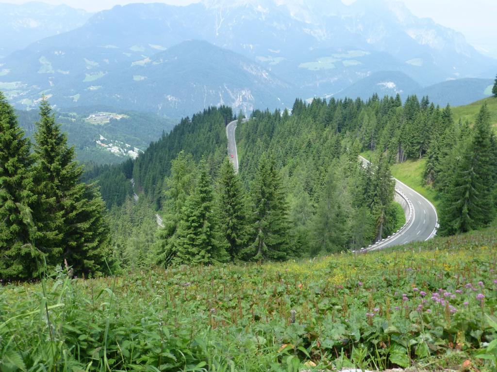 k1024_p1000675.jpg